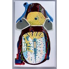 Модель барельефная "Долька печени" (макро-микростроение)