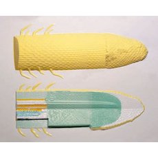 Модель барельефная "Клеточное строение корня"