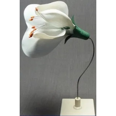 Модель "Цветок гороха"