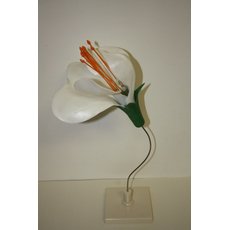 Модель Цветок гороха