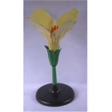 Модель "Цветок капусты"