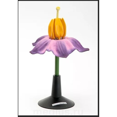 Модель "Цветок картофеля"