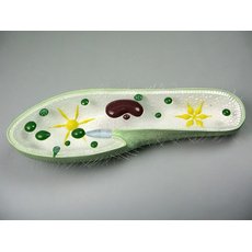 Модель "Инфузория-туфелька"