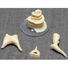 Модель "Косточки слуховые"