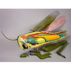 Модель "Кузнечик"