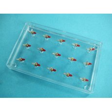 Модель молекулярного строения магнита