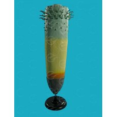 Модель по ботанике Продольное сечение корня