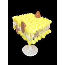 Модель "Строение клеточной оболочки"