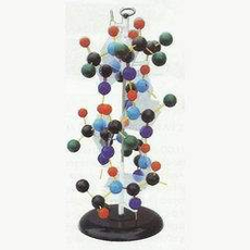 Модель "Структура белка"