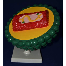 Модель "Вирус СПИДа"