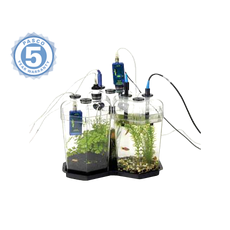 НАБОР "ЭКОСИСТЕМА"