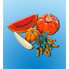 Набор муляжей "Бахчевые культуры"