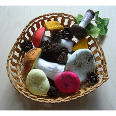 Набор муляжей грибов