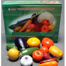 Набор муляжей овощей (большой)