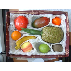 Набор муляжей тропических фруктов