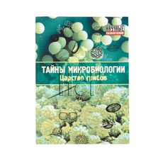 Набор "Тайны микробиологии" (Царство грибов)