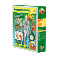 Наглядная биология. Человек. Строение тела человека