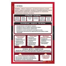 ОБЖ Гигиена