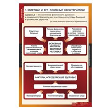 ОБЖ Здоровый образ жизни