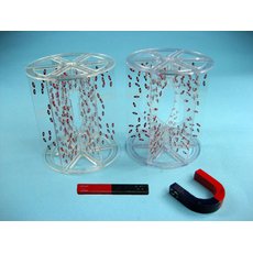 Прибор для демонстрации в объёме линий магнитного поля