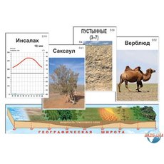 Природные зоны России, модель-аппликация (ламинированная)