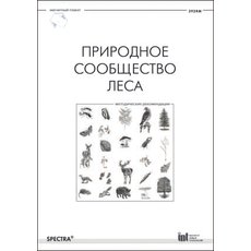 Природное сообщество леса. Методические рекомендации