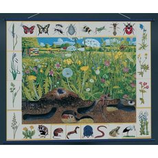 Природное сообщество луга. Магнитный плакат