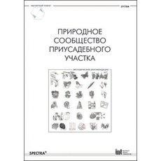Природное сообщество приусадебного участка. Методические рекомендации