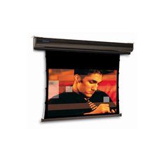 Проекционный экран с электроприводом Projecta TabScreen Electrol (10130218) 170x300 см