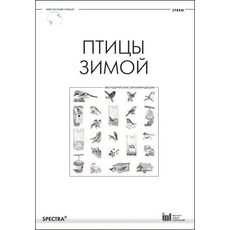 Птицы зимой. Методические рекомендации