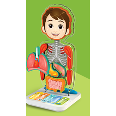 Развивающий комплекс "Занимательная Анатомия"