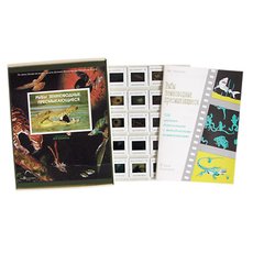 Рыбы. Земноводные. Пресмыкающиеся (120 шт)