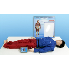 Робот-тренажер "Антон-1.01 Травма"