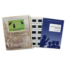 Сельскохозяйственная энтомология