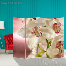 Ширма примерочная