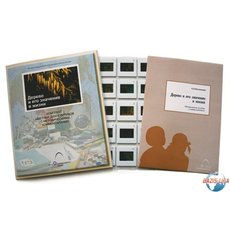 Слайд-комплект «Дерево и его значение в жизни»