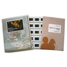 Слайд-комплект  «Дерево и его значение в жизни»