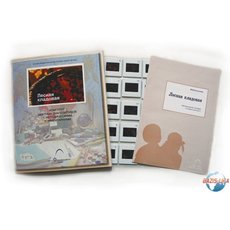 Слайд-комплект «Лесная кладовая»