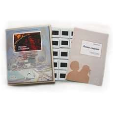 Слайд-комплект  «Лесная кладовая»