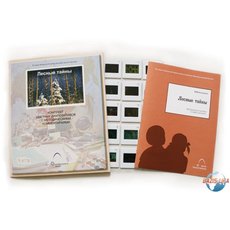 Слайд-комплект «Лесные тайны»