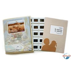 Слайд-комплект «От Арктики до Экватора»