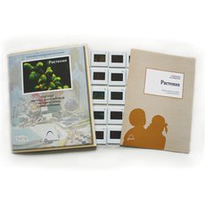 Слайд-комплект  «Растения»