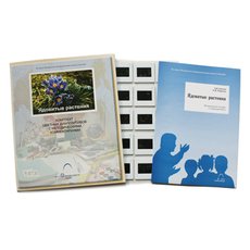 Слайд-комплект «Ядовитые растения»