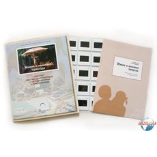 Слайд-комплект «Живая и неживая природа»