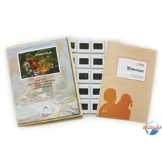 Слайд-комплект  «Животные»