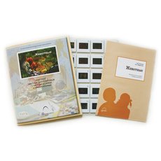 Слайд-комплект  «Животные»