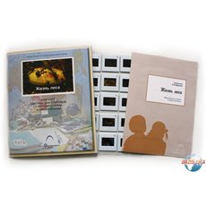 Слайд-комплект «Жизнь леса»