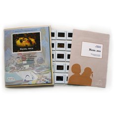 Слайд-комплект  «Жизнь леса»
