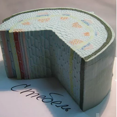 Стебель растения