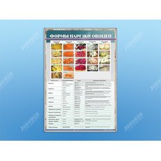 Стенд "Формы нарезки овощей"